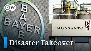 Bayers acquisition of Monsanto is becoming a disaster  DW News [upl. by Gebelein]