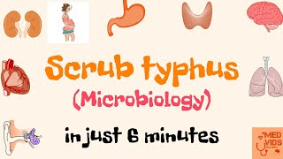 Scrub typhus  Microbiology  Med Vids Made Simple [upl. by Johnnie]