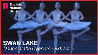 Swan Lake Dance of the Cygnets  English National Ballet [upl. by Ocsecnarf]