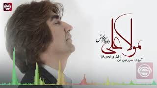 Dawood Sarkhosh Ya Mawla Ali داود سرخوش آهنگ یا مولا علی [upl. by Caye]