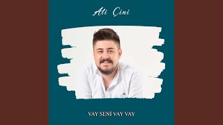 Vay Seni Vay Vay [upl. by Aylmer]