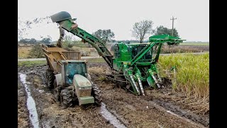 John Deeres 2 Row CH960 Cane Harvester 4K [upl. by Haila]