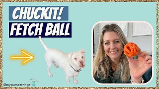 ChuckIt Fetch Air Ball Demo [upl. by Beauregard]