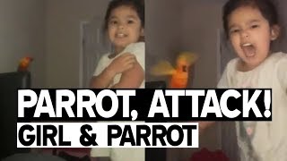 My niece has her bird trained to attack anyone she screams at  Viral Video [upl. by Trixie677]