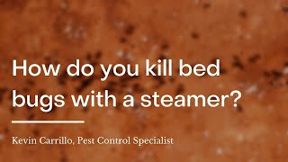 How do you kill bed bugs with a steamer [upl. by Surovy]