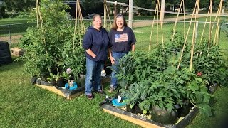 What A Fantastic Self Watering Grow Bag Garden System You Have Got To See This [upl. by Assej658]