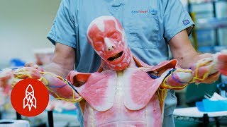 Westworld IRL Creating Lifelike Synthetic Human Cadavers [upl. by Rosenberger]