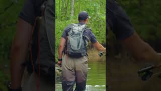 Fly Fishing Expedition Recap Cooking on The River Catching Multiple Species of Fish forest river [upl. by Reibaj]