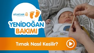 Bebeklerde Tırnak Kesimi  Yenidoğan Bakımı [upl. by Leahci]