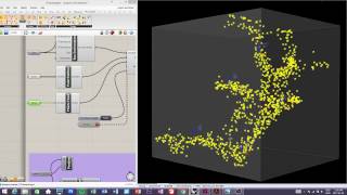 Physarum polycephalum simulation 5 [upl. by Joselyn]