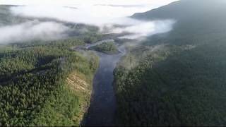 Dry Fly fishing atlantic salmon in northern scandinavia [upl. by Ahsiniuq991]