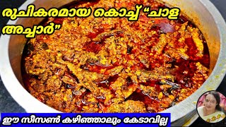 Kerala Style Chala Achar Recipe Malayalam  Fish Pickle Recipe Malayalam [upl. by Nytsyrk]