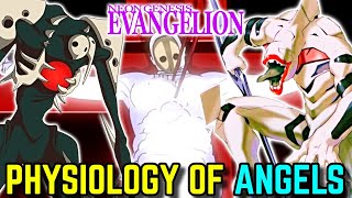 Physiology of Angels in Neon Genesis Evangelion Explored  Where They Came From How They Were Born [upl. by Strickler389]