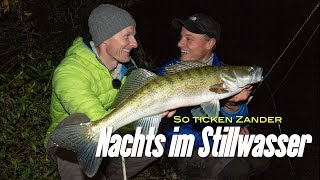 So ticken Zander Nachts im Stillwasser [upl. by Terese]