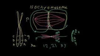 Isochromosome  chromosome with identical arms  rare genetic disorder [upl. by Collayer]