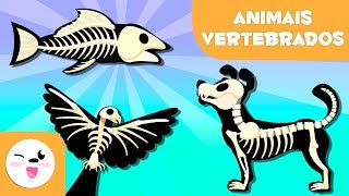 ANIMAIS VERTEBRADOS para crianças  Mamíferos aves répteis peixes e anfíbios [upl. by Nosae]