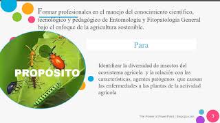 CURSO VIRTUAL DE ENTOMOLOGÍA Y FITOPATOLOGÍA2021I [upl. by Ahker]