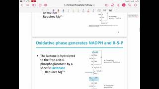 Lecture 13  pentose phosphate pathway [upl. by Annelak]