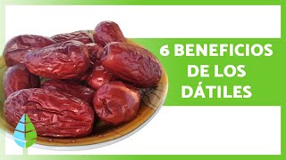 BENEFICIOS de los DÁTILES para la SALUD 💚  Propiedades Cómo Comerlos y Contraindicaciones [upl. by Grant]