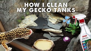 Cleaning My Leopard Gecko Tank  STEPBYSTEP GUIDE [upl. by Eihpos]