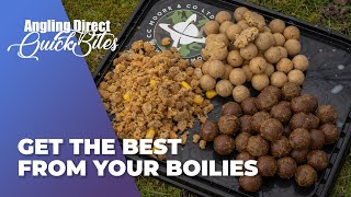 Get The Best From Your Boilies  Carp Fishing Quickbite [upl. by Garaway]