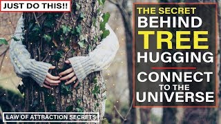 Why TREE HUGGING is Good For You  Connect to The Universe Like This Law of Attraction [upl. by Akram]