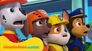 Pat’Patrouille  Sauvetages dans la jungle avec Tracker  Compilation de 15 minutes  Nickelodeon Jr [upl. by Utta]