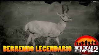 Berrendo legendario  Guia caza RED DEAD REDEMPTION 2 [upl. by Meredith]