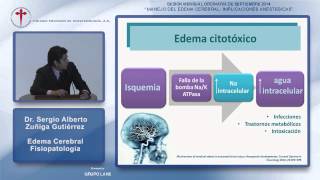 Edema Cerebral Fisiopatología Dr Sergio A Zuñiga Gutiérrez  01092014 [upl. by Llertrac]