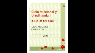 Clase Ciclo Miccional y Urodinamia I  Dra Cifuentes [upl. by Sucramad732]