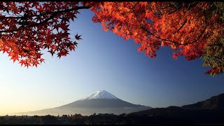 3 HOURS of the Best Traditional Japanese Music  Relaxing Music for Stress Relief and Healing [upl. by Resee715]