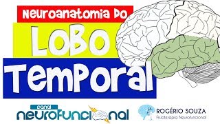 LOBO TEMPORAL Neuroanatomia Funcional do Córtex  Telencéfalo  Aula Antiga [upl. by Clarie]