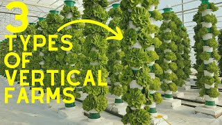 Vertical Farming 2024  3 Different Types Of Vertical Farms [upl. by Francisco]