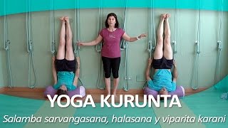 YOGA KURUNTA 9  Salamba sarvangasana halasana y viparita karani [upl. by Ahsiele679]