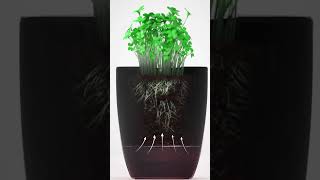 Smart SelfWatering Pot The Future of Gardening [upl. by Bumgardner362]