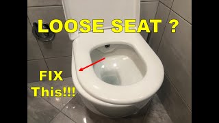 How to change a toilet seat with hidden fixings [upl. by Ynos374]