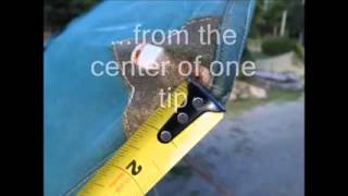 UmbrellaRecovery  How to measure a replacement umbrella canopy [upl. by Kroy122]