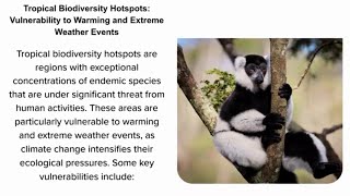 Tropical Biodiversity Hotspots Vulnerability to Warming and Extreme Weather Events [upl. by Ahsiuqel]