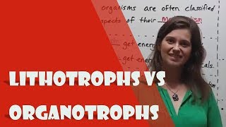 Lithotrophs vs Organotrophs [upl. by Rolyak]