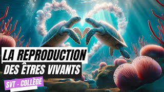 La reproduction des êtres vivants  SVT Collège [upl. by Friedly]