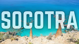 WHY YOU NEED TO VISIT SOCOTRA  YEMEN [upl. by Dierolf]