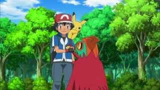 Pokemon XY – Hawlucha Oglądaj w Disney XD [upl. by Hodgkinson]