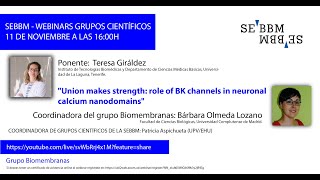 Webinar Grupos científicos de la SEBBM “Grupo Biomembranasquot [upl. by Norri]