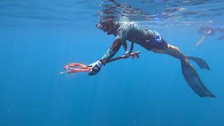 Freedive Spearfishing a West Coast Florida Shipwreck for Amberjack [upl. by Ayatan884]