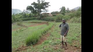 Chikukwa Permaculture Project [upl. by Rozele]