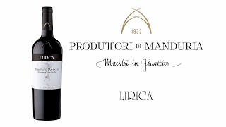 Дегустация “Lirica” Primitivo di Manduria DOC [upl. by Aretahs223]