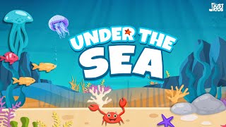 Under The Sea  Jjust Kids  Nursery Rhyme for Kids  Sea Creatures for Kids [upl. by Hogle716]