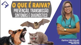 O que é Raiva Prevenção transmissão sintomasAuxiliar de Veterinário  Micronet [upl. by Comstock728]