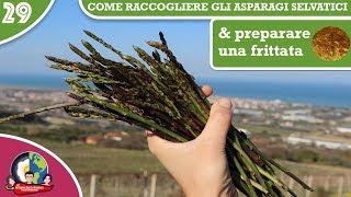 COME RACCOGLIERE GLI ASPARAGI SELVATICI amp PREPARARE UNA FRITTATA [upl. by Ybrik]