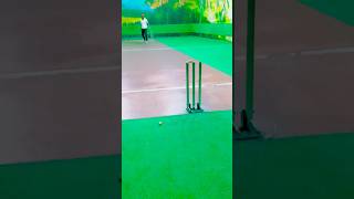 Hit the Energy Drink challenge shortsvideo youtubeshorts cricket [upl. by Spence159]